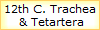  12th C. Trachea  
& Tetartera